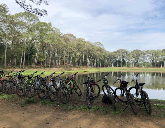 Scopri il Delta del Mekong al ritmo della bicicletta