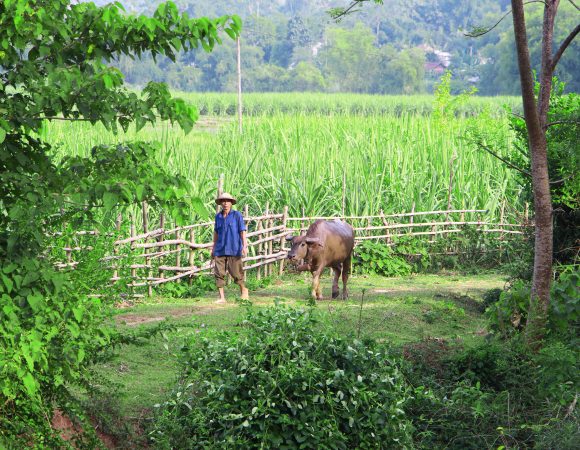 IL CUORE DEL VIETNAM DEL NORD *VESTIBILITÀ SPECIALE*