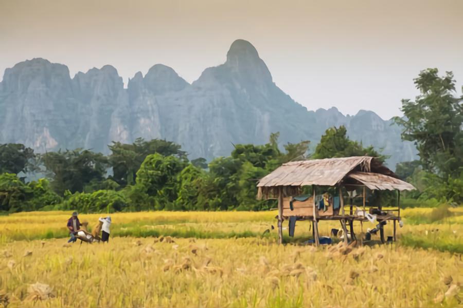 LAOS ESSENZIALE