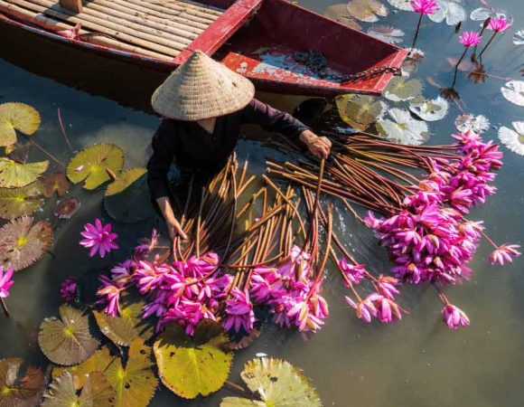 mekong delta