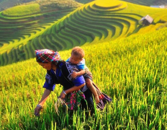 VIAGGIO IN FAMIGLIA DEL VIETNAM DEL NORD *ESTENSIONE CULTURALE PER IL VIETNAM DEL NORD*