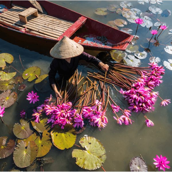 I Migliori Posti Da Visitare In Vietnam