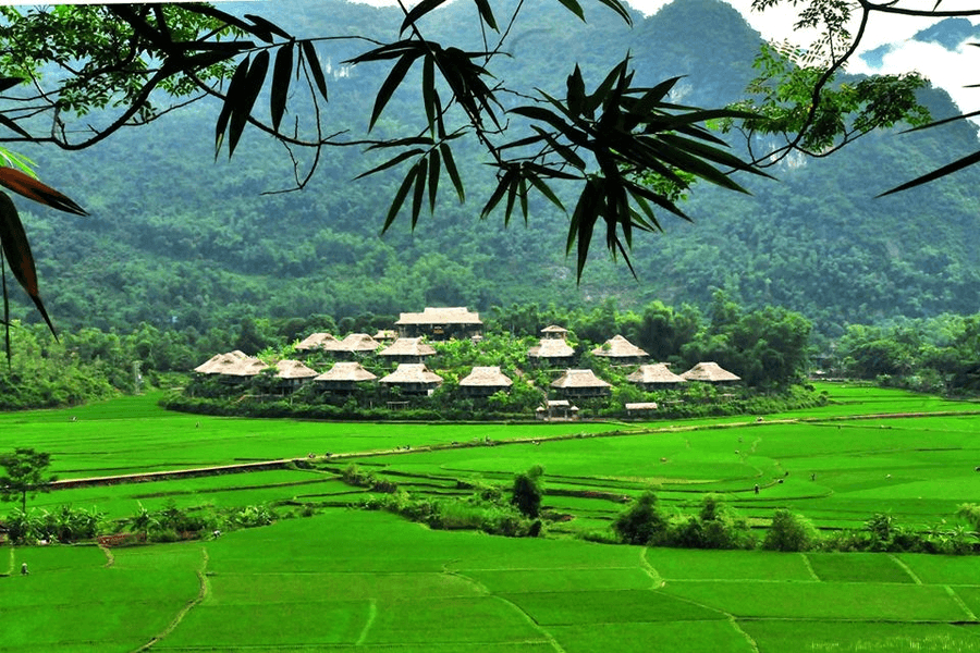 mai chau